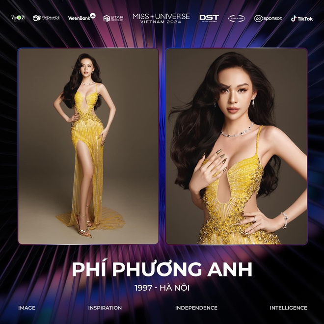 Phí Phương Anh thi Miss Universe Vietnam, chưa gì đã bị ném đá - Ảnh 2.