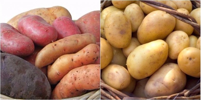 Khoai lang và khoai tây đều tốt cho sức khỏe, tùy từng mục đích sử dụng sẽ có giá trị khác nhau. Ảnh minh họa. 