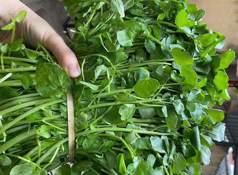 Rau cải xoong thường bị người Việt chê bẩn nhưng các chuyên gia thế giới đánh giá nó rất cao và chứa cực nhiều dinh dưỡng.