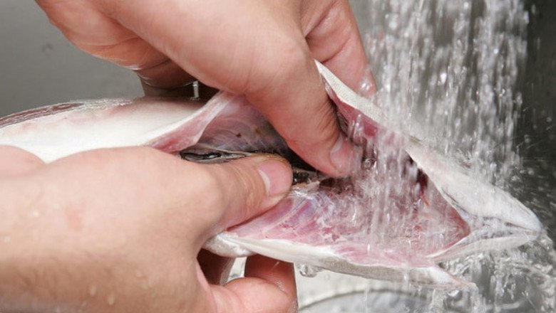 Cần làm sạch nội tạng, nhất là màng đen trong bụng cá để hạn chế nguy cơ nhiễm kim loại nặng. Ảnh minh họa. 