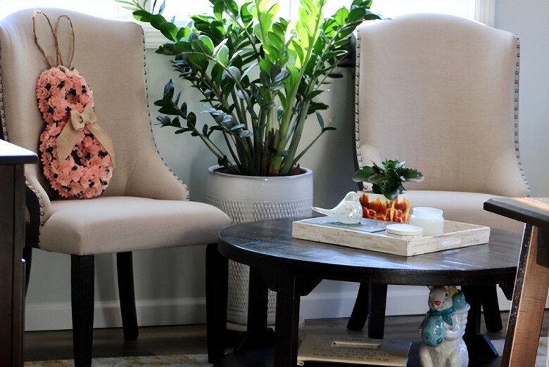 Đặt cây kim tiền ở vị trí này trong nhà sẽ mang lại vận may tốt nhất, 99% mọi người không biết - 4