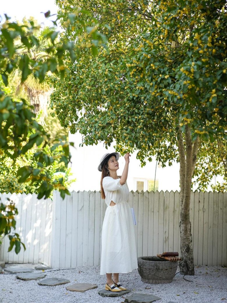 Sân không có cây, không phúc không lộc! Trồng 5 loại cây này, con cháu ngày càng phát đạt - 2