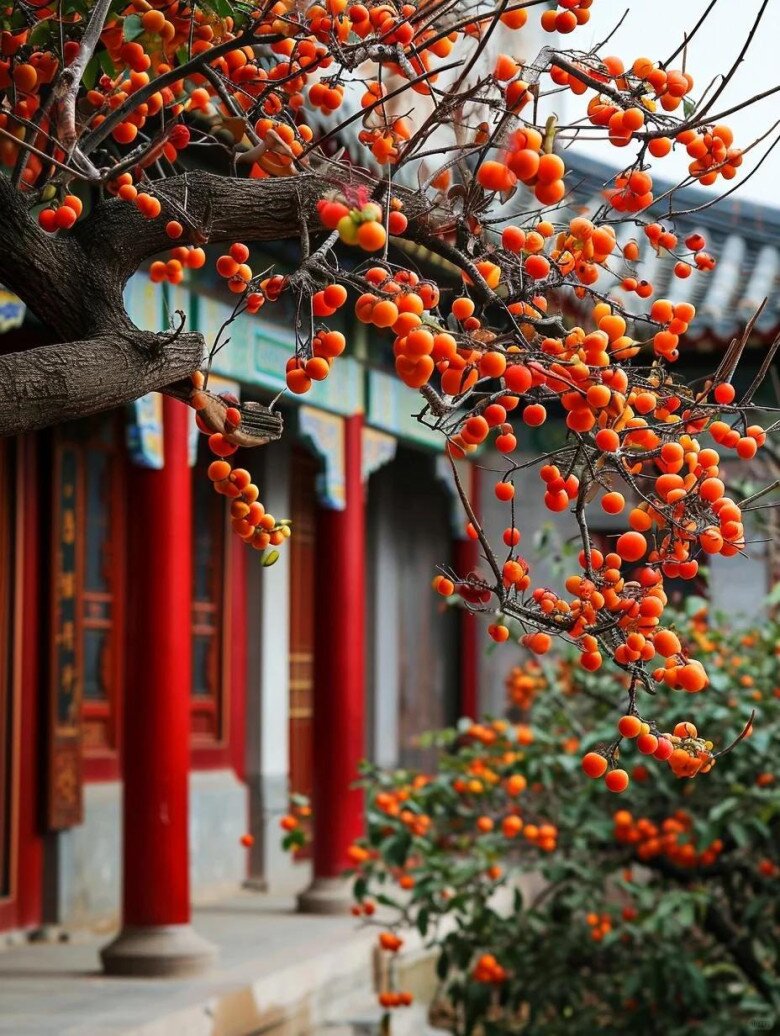 Sân không có cây, không phúc không lộc! Trồng 5 loại cây này, con cháu ngày càng phát đạt - 7