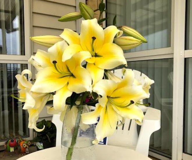 Xem thêm: Người giàu thường trồng 4 loại hoa cây cảnh này, chẳng trách làm gì cũng suôn sẻ, cả nhà khỏe mạnh