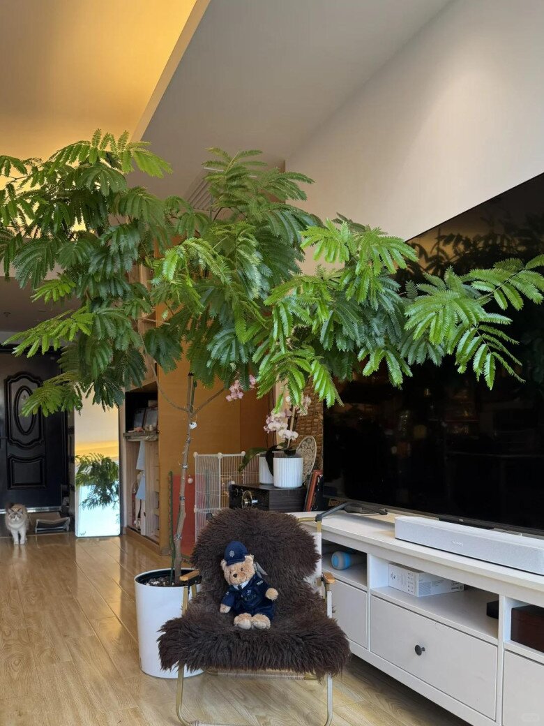 Chỉ trồng một cây dại trong phòng khách, chàng trai khiến ai bước vào cũng tưởng lạc giữa resort 5 sao! - 3