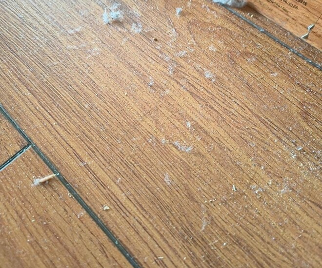 Tại sao lau dọn mỗi ngày nhưng nhà vẫn đầy lông bụi? Học cách này, nhà bạn sẽ sạch bong kin kít - 1