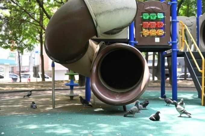 Bồ câu tại một sân chơi ở thành phố Ulsan ngày 26/6. Ảnh: Korean Times