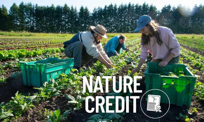 Ảnh minh họa: Phiên An