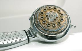 Vòi sen dùng trong môi trường ẩm ướt nên lâu ngày vòi sen sẽ tích tụ canxi.