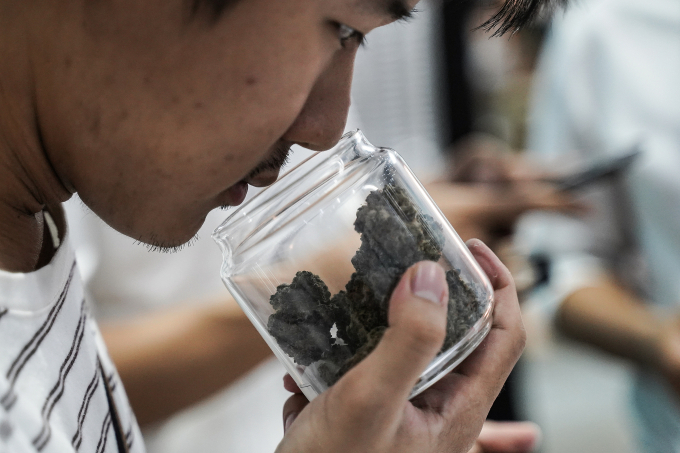 Du khách ngửi cần sa tại hội chợ ở Bangkok, Thái Lan, tháng 11/2024. Ảnh: Reuters