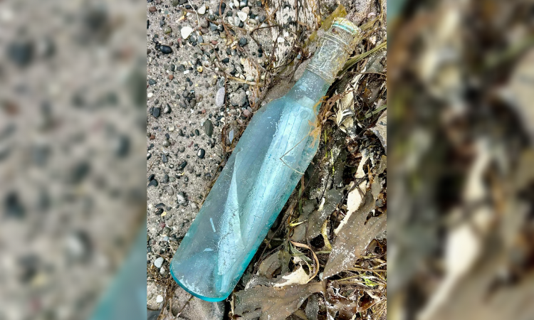 Chai rượu vang chứa thông điệp từ Canada dạt vào bờ biển Ireland sau 13 năm trên biển. Ảnh: CBS News