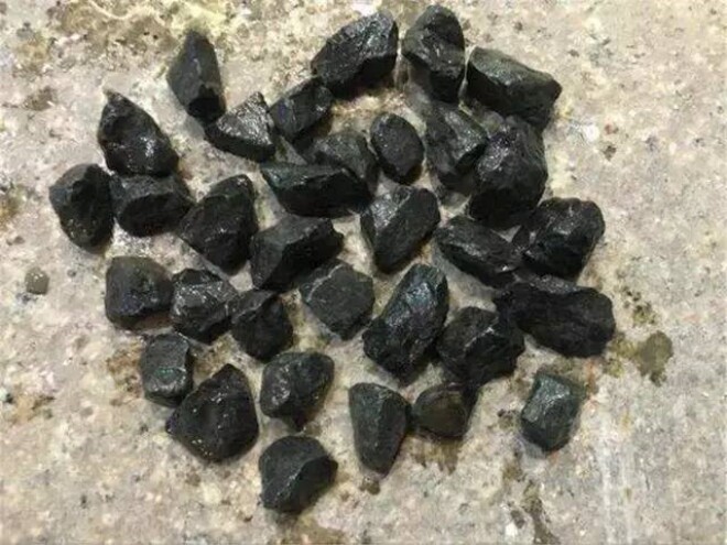 Ra công viên nhặt 3 “bảo bối” này mang về chôn vào chậu hoa, đất sẽ tơi xốp như bánh mì, cây xanh tươi tốt - 4