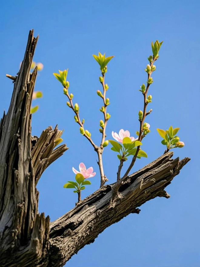 Xem thêm: Phạm phải 3 lỗi phong thủy này, tài vận gia chủ lao dốc không phanh