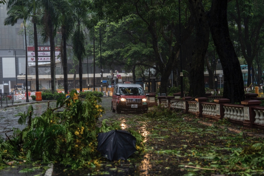 Cây cối gãy đổ trên đường xá Hong Kong sáng 20/7 vì ảnh hưởng của bão Wipha. Ảnh: AP