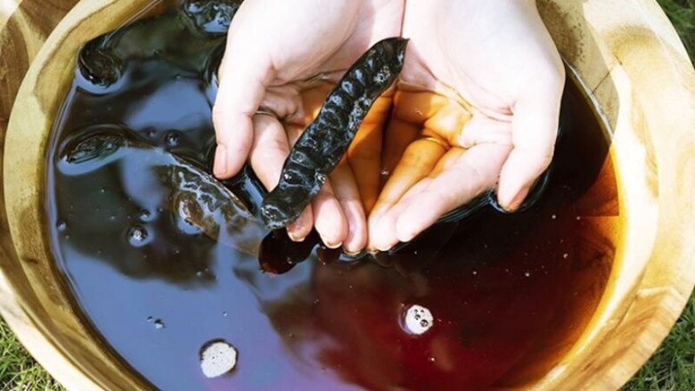 Thứ amp;#34;vàng đenamp;#34; dân dã giúp tóc mọc nhanh, dày khỏe: Rẻ như cho, mua dễ ở mọi chợ quê - 3