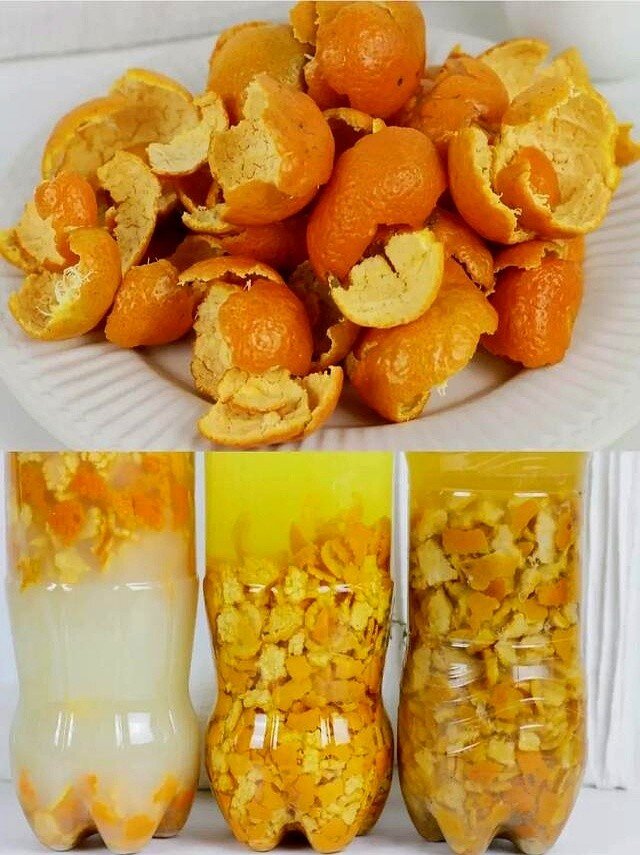 Vỏ cam ăn xong đừng vội bỏ đi, biết sớm 3 công dụng này của nó tiết kiệm cả khối tiền - 4