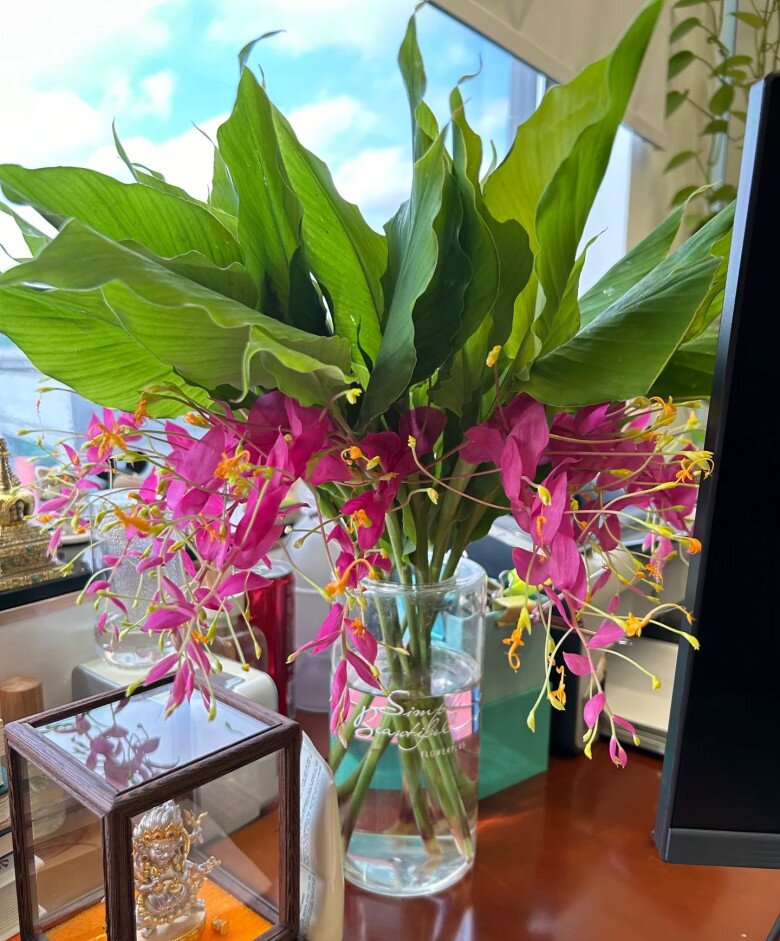 Đây là “tân binh” đang làm mưa làm gió trong giới cây cảnh, hoa nở quanh năm, bền như hoa giả, trồng dễ như rau - 2