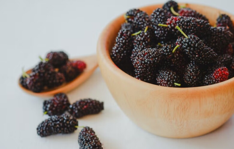 Vị ngọt dịu, dễ ăn, lại đi kèm hàng loạt lợi ích, dâu tằm xứng đáng góp mặt thường xuyên trong thực đơn của những cô gái yêu tóc đẹp, da khỏe.