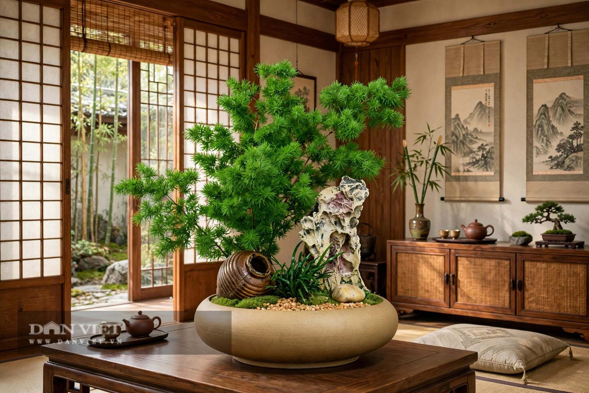 Hình thái lá cây cảnh này như hàng ngàn nét phẩy trong thư pháp
