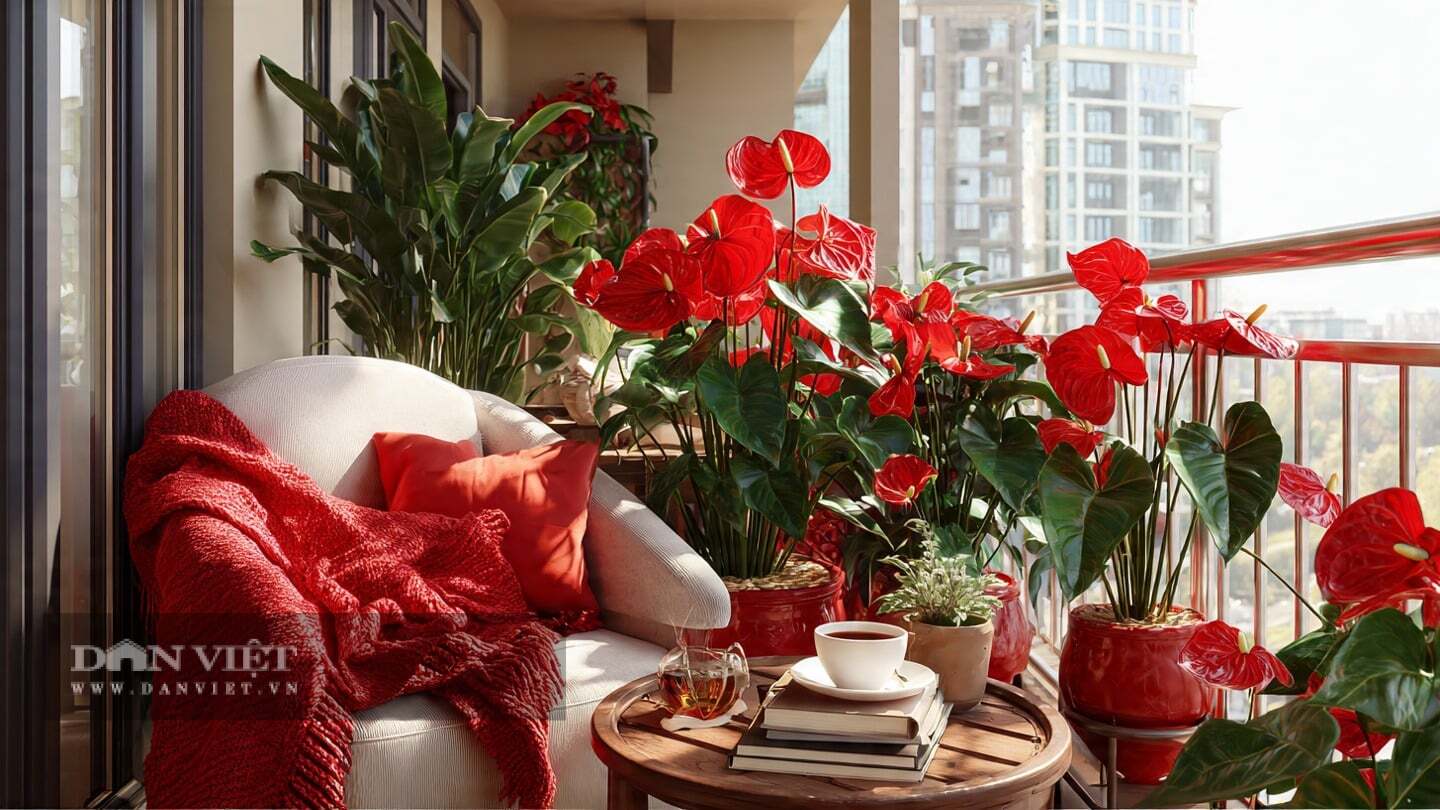 Người xưa nói: “Nhìn cây trong nhà, biết phúc trong mệnh”.