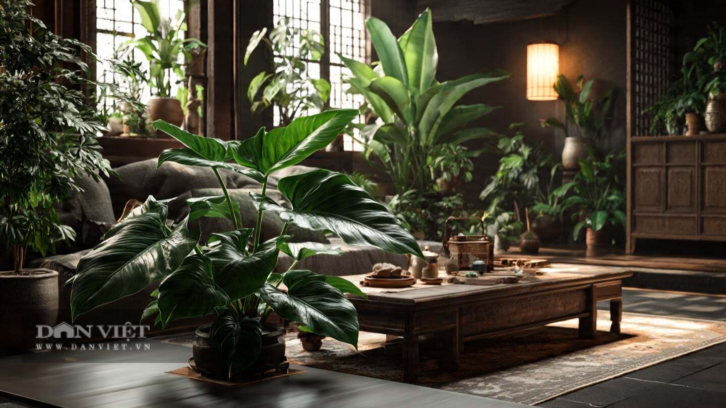 Sờ vào lá, thấy dày, mọng, đầy sức sống.