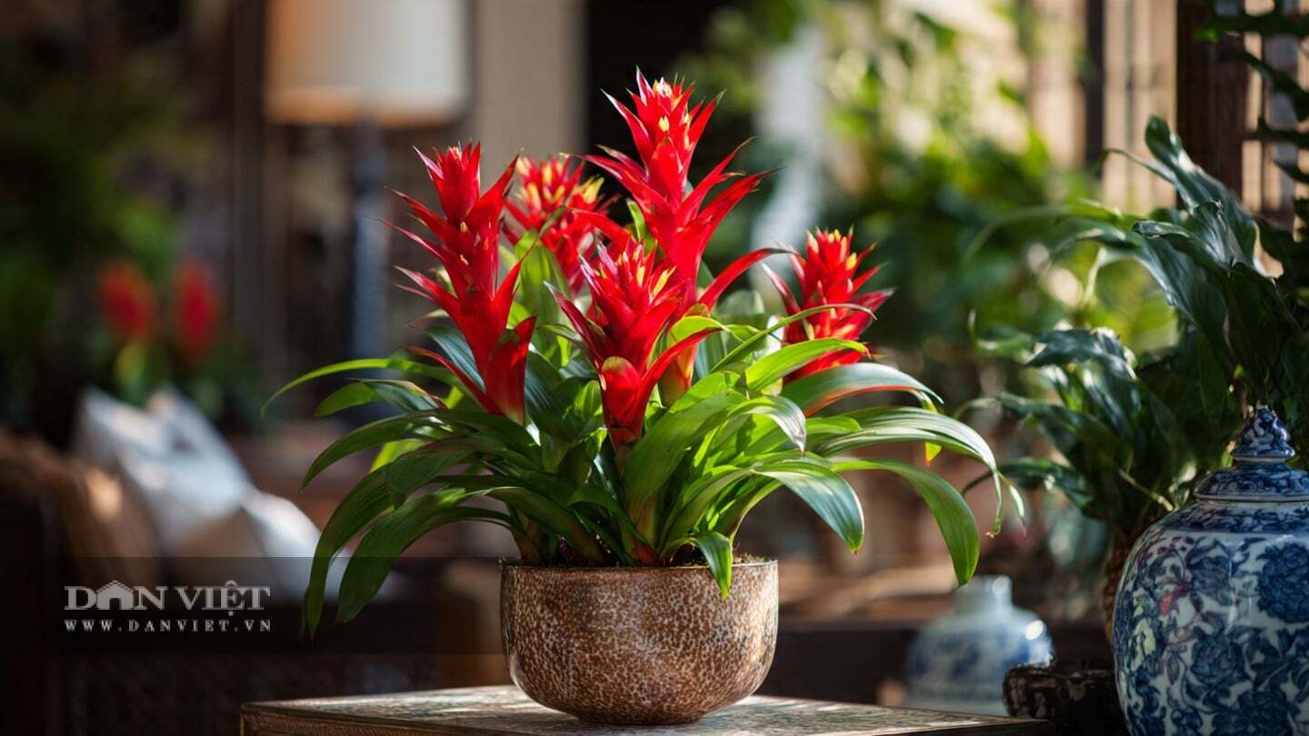 Vẻ đẹp của cây cảnh mang tính điêu khắc.