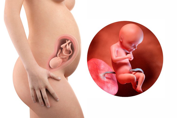 Mục tiêu của một thai kỳ khỏe mạnh không phải là sinh em bé nặng cân nhất, mà là em bé phát triển phù hợp với tuổi thai, đồng thời bảo đảm an toàn cho cả mẹ và con.