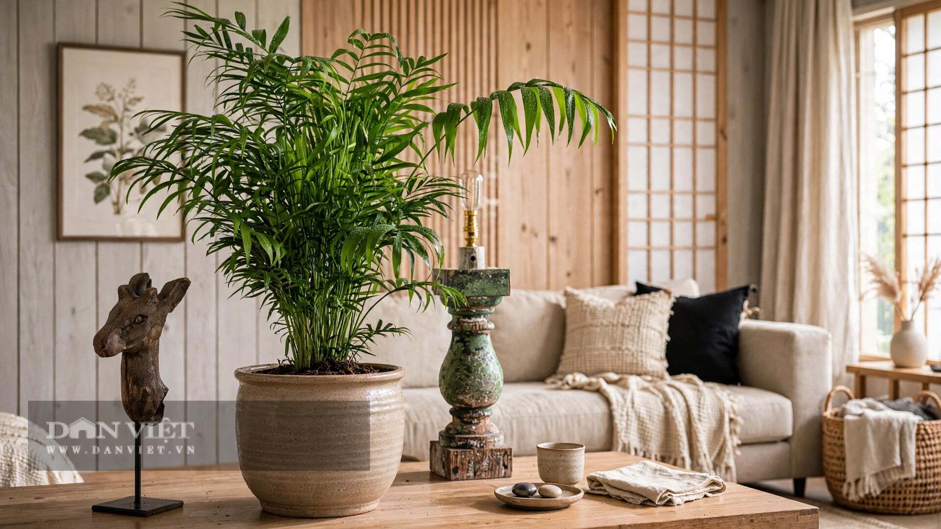 Cây cảnh là một trong số ít những loài cây càng nóng càng xanh