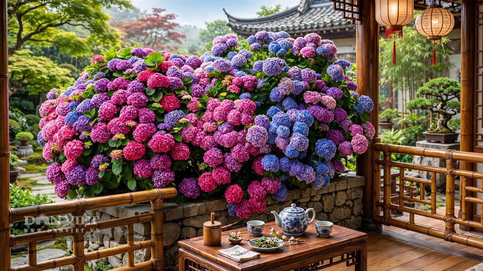 Cây cảnh thích nước