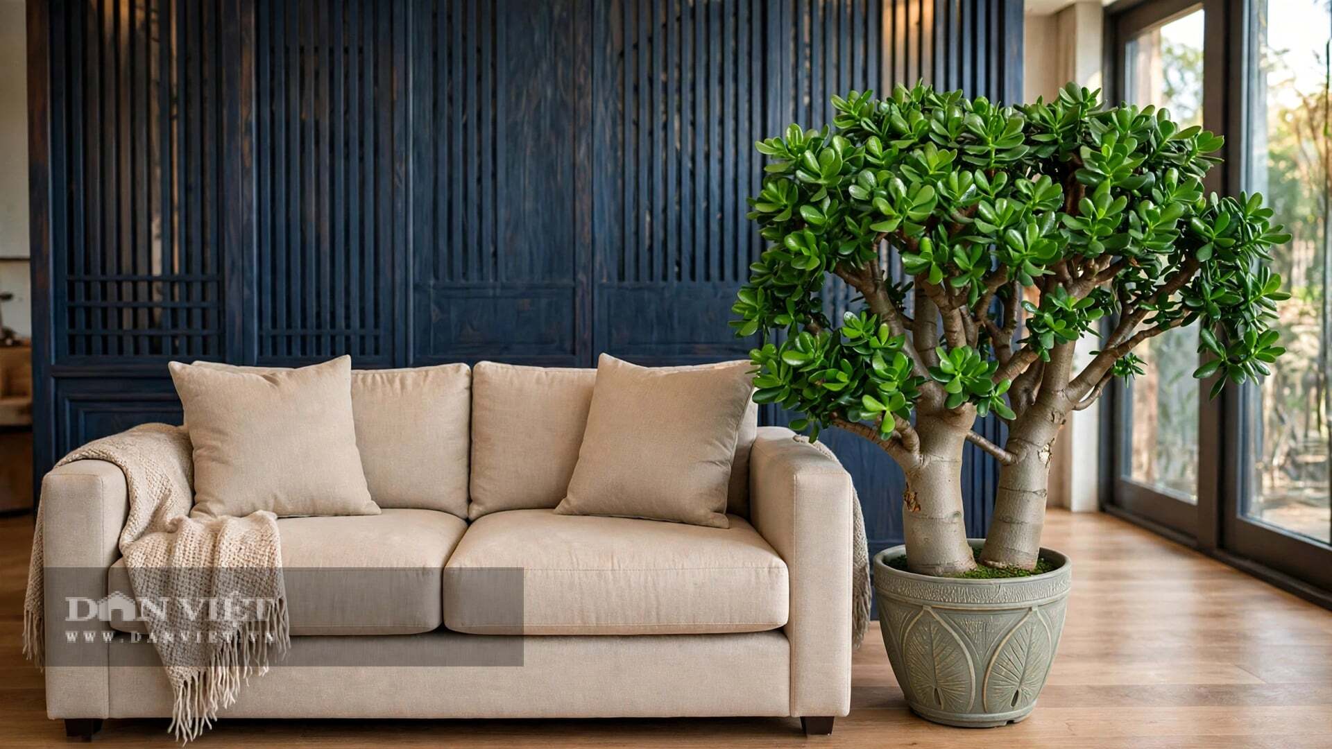 4 cây cảnh mang linh hồn thời gian, tuổi thọ 100 năm, tích lũy tài lộc, trồng trong nhà phúc lộc buông xuống - 11