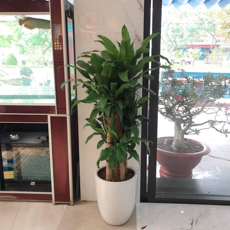 Phương thức kích hoạt âm quý nhân giúp bình an kéo đến, vạn sự hanh thông-2