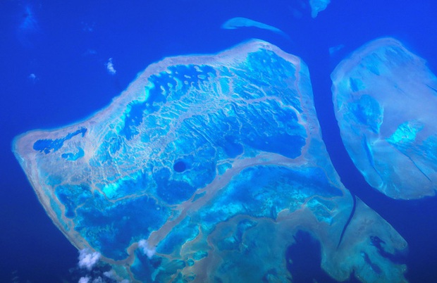 Rạn san hô Great Barrier ở Australia đạt độ phủ cao nhất trong 36 năm - Ảnh 2.