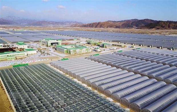 Han Quoc de xuat goi vien tro kinh te quy mo lon cho Trieu Tien hinh anh 1