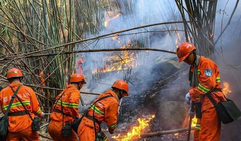 Lính cứu hỏa chữa cháy ở Trùng Khánh ngày 21/8. Ảnh: China News