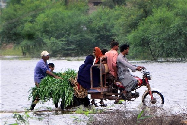 Pakistan doi mat voi dot lu moi, 1.000 nguoi thiet mang tu dau mua mua hinh anh 1