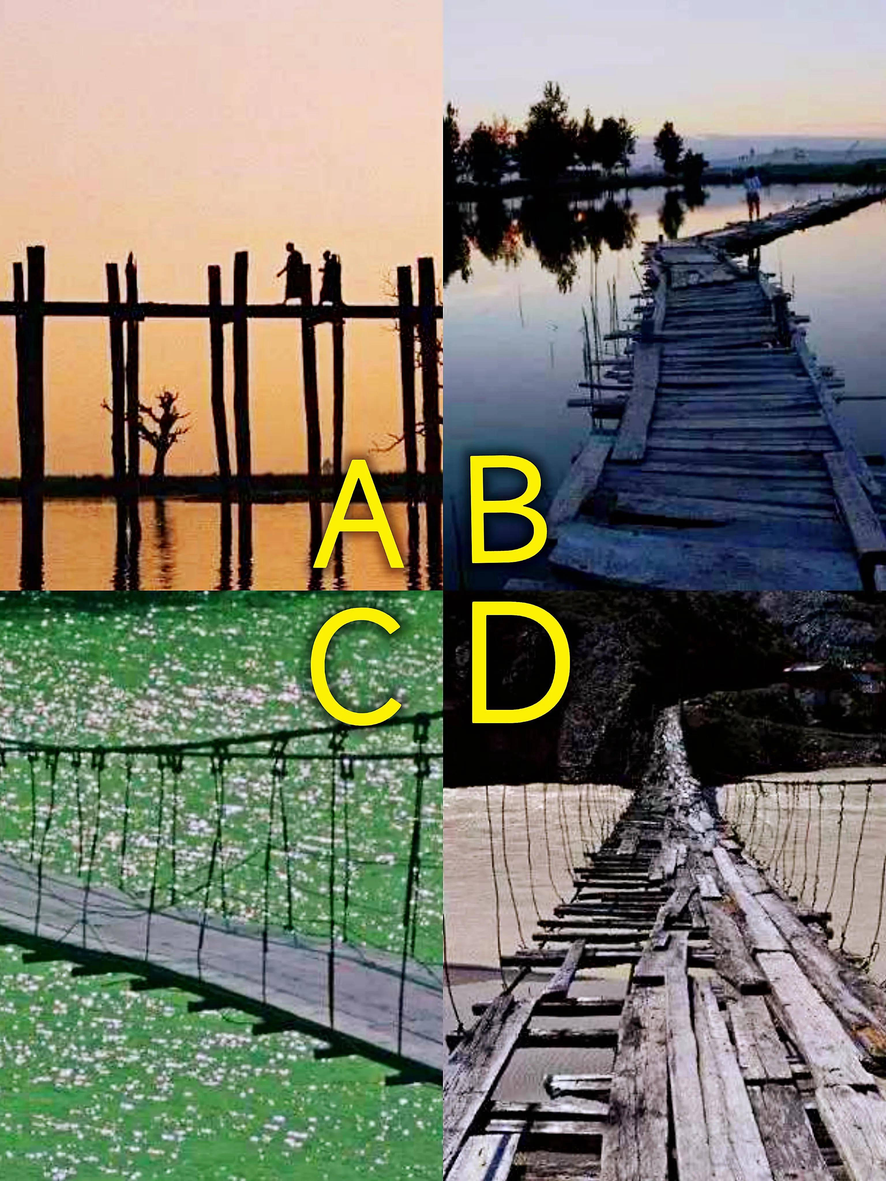 Trắc nghiệm tâm lý: Theo bạn, cây cầu nào nguy hiểm nhất? - 1