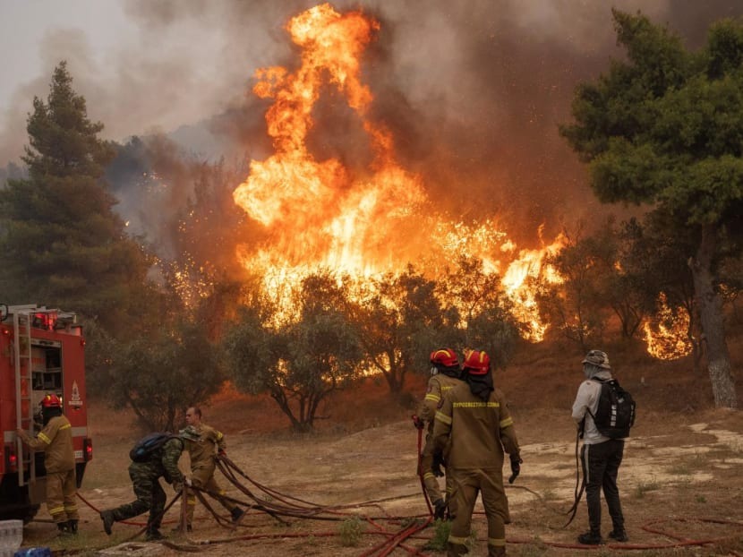 Cháy rừng ở làng Hasia, gần Athens, Hy Lạp ngày 22/8. Ảnh: Reuters