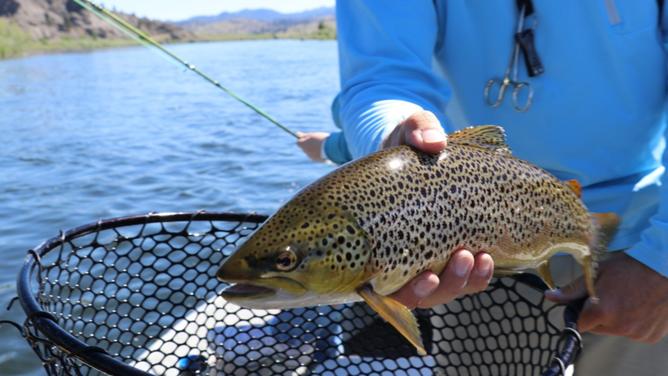 Fish in the ‘Burbs will allow anglers young and old to catch rainbow trout in the middle of suburbia.