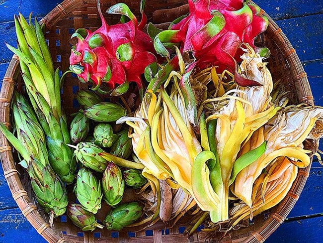 Toàn thân cây này đều là báu vật, nhiều người chỉ ăn quả nhưng hoa mới là đặc sản, vừa thanh nhiệt giải độc vừa tốt cho sức khỏe - 3