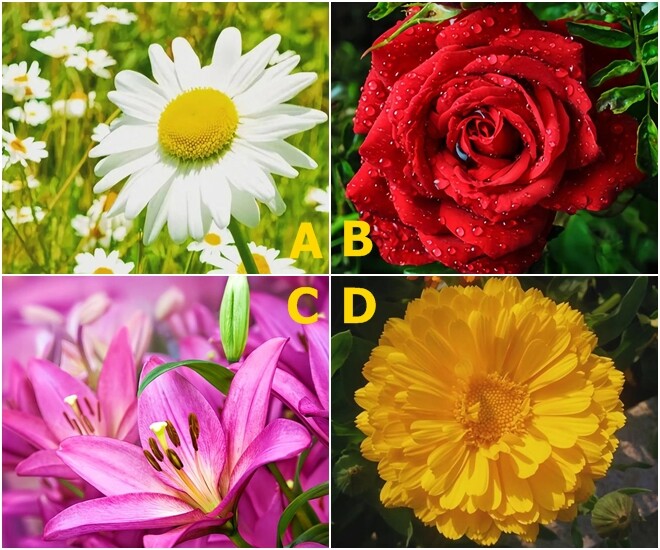 Trắc nghiệm: Nửa kia của bạn dễ bị mê mệt trước kiểu phụ nữ nào? Chọn một bông hoa là biết ngay - 1