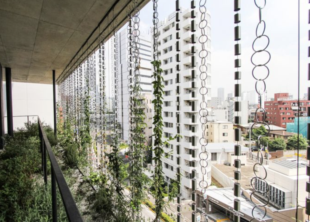 Người Nhật Bản dùng dây xích thay ống xối (Kusari-doi) để thoát nước hiệu quả. Ảnh: PIXTA