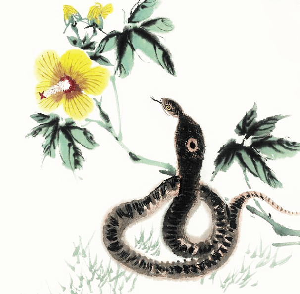 4 con giáp rất giỏi quản lý tiền bạc, hậu vận giàu sang bất chấp xuất phát điểm - 3