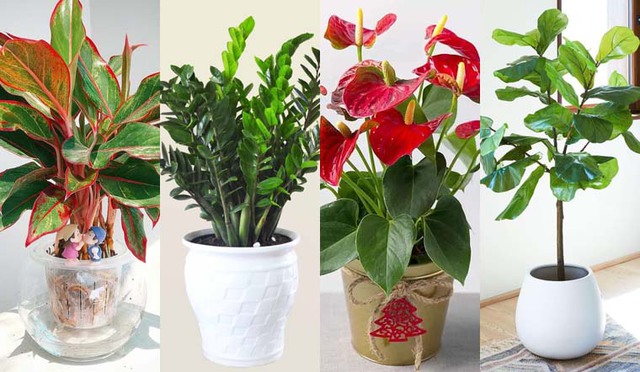 Nếu người mệnh Mộc thích màu trắng, họ có thể kết hợp nó với các phụ kiện có màu sắc khác để giảm bớt tương khắc và tạo sự cân bằng.