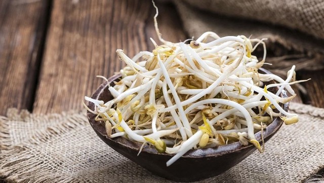 Giá đỗ xanh giàu chất xơ và chất chống oxy hóa mang lại nhiều lợi ích sức khỏe.