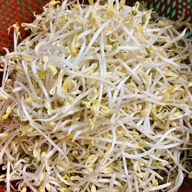 Nên lựa chọn loại giá đỗ được trồng tự nhiên, không ngâm hóa chất kích thích tăng trưởng để đảm bảo sức khỏe.