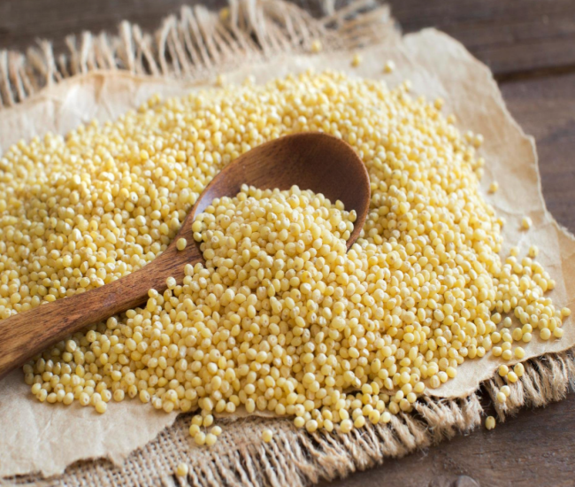 Hạt kê được ví như “ngũ cốc vàng” bởi hàm lượng dinh dưỡng dồi dào, giàu protein, vitamin nhóm B, chất xơ, sắt, magie và kẽm, lại không chứa gluten.