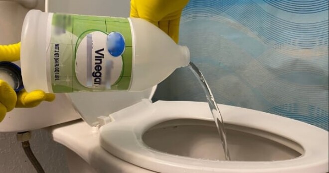 Nhỏ 2 giọt này vào bồn cầu, tác dụng rất bất ngờ, tiếc là nhiều người không biết, biết sớm đã có lợi rồi - 2
