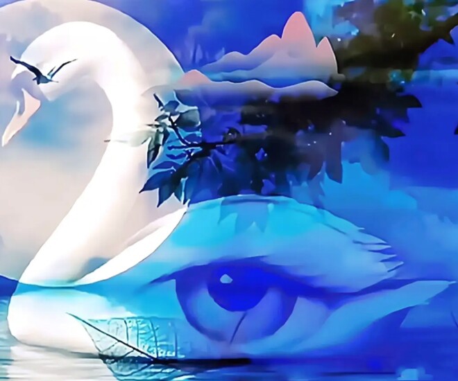 Trắc nghiệm tâm lý: Hình ảnh đầu tiên bạn nhìn thấy là gì? - 1