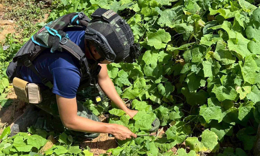 Chuyên gia xử lý một quả mìn tại một địa điểm tại Thái Lan, gần biên giới với Campuchia. Ảnh: Quân đội Thái Lan