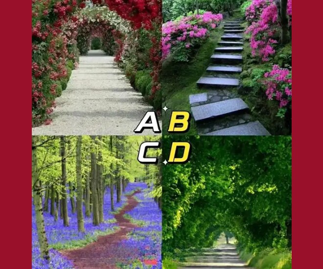 Trắc nghiệm tâm lý: Theo trực giác của bạn, con đường nào dẫn đến bến bờ hạnh phúc? - 1